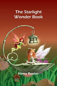 Produktbild: The Starlight Wonder Book