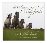 Produktbild: Die D&uuml;lmener Wildpferde im Merfelder Bruch