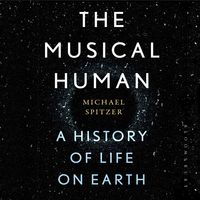 Produktbild: The Musical Human