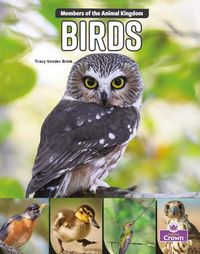 Produktbild: Birds