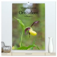 Produktbild: Wildwachsende Orchideen in Bayern (hochwertiger Premium Wandkalender 2026 DIN A2 hoch), Kunstdruck in Hochglanz