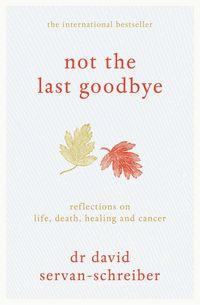 Produktbild: Servan-Schreiber, D: Not the Last Goodbye