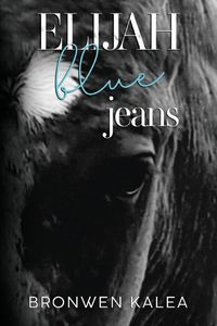 Produktbild: Elijah Blue Jeans