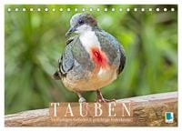 Produktbild: Tauben: vielfarbiges Gefieder und pr&auml;chtige Federkrone (Tischkalender 2026 DIN A5 quer), CALVENDO Monatskalender