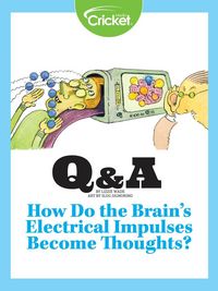 Produktbild: How Do the Brain's Electrical Impulses Become Thoughts?