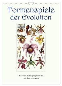 Produktbild: Formenspiele der Evolution. Chromolithographien des 19. Jahrhunderts (Wandkalender 2026 DIN A4 hoch), CALVENDO Monatskalender
