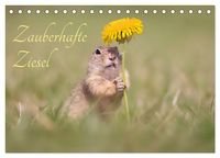 Produktbild: Zauberhafte Ziesel (Tischkalender 2026 DIN A5 quer), CALVENDO Monatskalender