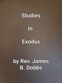 Produktbild: Studies In Exodus