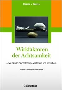Produktbild: Wirkfaktoren der Achtsamkeit
