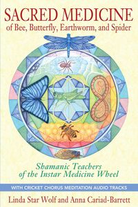 Produktbild: Sacred Medicine of Bee, Butterfly, Earthworm, and Spider