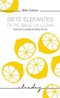 Produktbild: Siete elefantes de pie bajo la lluvia