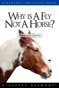 Produktbild: Why is a Fly Not a Horse?