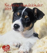 Produktbild: Niedliche Hundekinder 2013