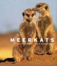 Produktbild: Dennis, N: Meerkats