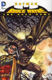 Produktbild: Nicieza, F: Batman - Bruce Wayne