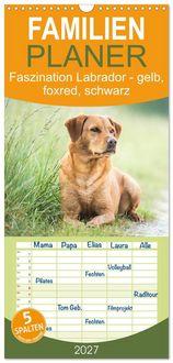 Produktbild: Familienplaner 2027 - Faszination Labrador - gelb, foxred, schwarz mit 5 Spalten (Wandkalender, 21 x 45 cm) CALVENDO