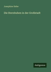 Produktbild: Die Sternbuben in der Gro&szlig;stadt