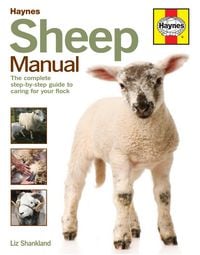 Produktbild: Sheep Manual