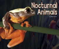 Produktbild: Nocturnal Animals