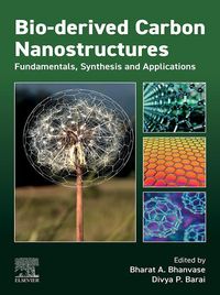 Produktbild: Bio-derived Carbon Nanostructures