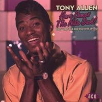 Produktbild: Allen, T: Here Comes The Nite Owl!