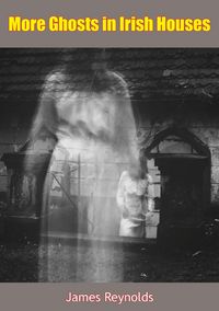 Produktbild: More Ghosts in Irish Houses