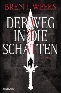 Produktbild Der Weg in die Schatten / Schatten Trilogie Band 1