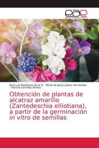 Produktbild: Obtenci&oacute;n de plantas de alcatraz amarillo (Zantedeschia elliotiana), a partir de la germinaci&oacute;n in vitro de semillas