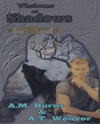 Produktbild: Visions of Shadows
