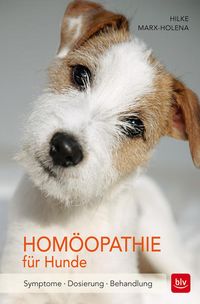 Bild vom Artikel Homöopathie für Hunde vom Autor Hilke Marx-Holena