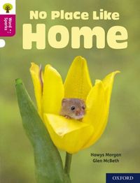 Produktbild: Oxford Reading Tree Word Sparks: Level 10: No Place Like Home
