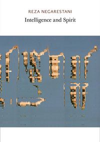 Produktbild: Intelligence and Spirit