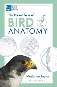 Produktbild: The Pocket Book of Bird Anatomy