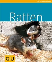 Produktbild: Ratten