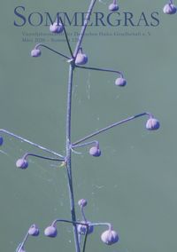 Produktbild: Sommergras 128