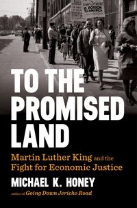 Produktbild: To the Promised Land