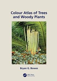 Produktbild: Colour Atlas Of Woody Plants &
