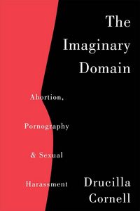 Produktbild: The Imaginary Domain