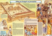 Produktbild: Alltag im Tempel zu Jerusalem