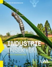 Produktbild: IndustrieInsekten