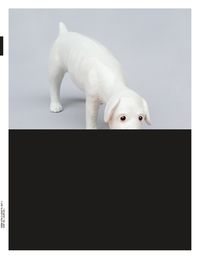 Produktbild: trans 30. Farbe
