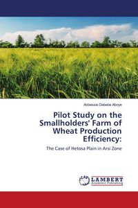 Produktbild: Pilot Study on the Smallholders' Farm of Wheat Production Efficiency: