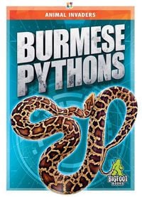 Produktbild: Burmese Pythons