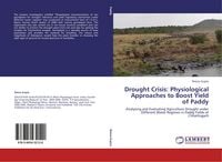 Produktbild: Drought Crisis: Physiological Approaches to Boost Yield of Paddy
