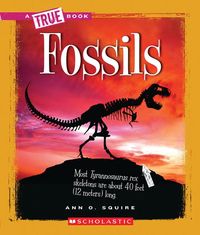 Produktbild: Fossils (a True Book: Earth Science)