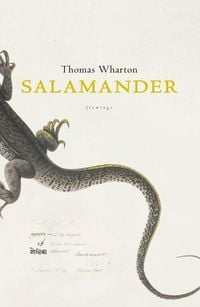 Produktbild: SALAMANDER OM PB