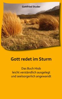Produktbild: Gott redet im Sturm