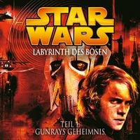 Produktbild: Labyrinth des B&ouml;sen - Teil 1: Gunrays Geheimnis