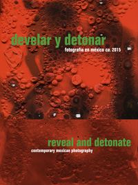 Produktbild: Reveal and Detonate