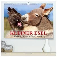 Produktbild: Kleiner Esel. Boldewyn und seine Freunde (hochwertiger Premium Wandkalender 2026 DIN A2 quer), Kunstdruck in Hochglanz